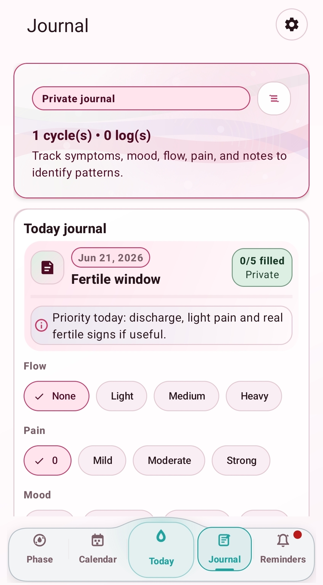 Private daily journal screenshot